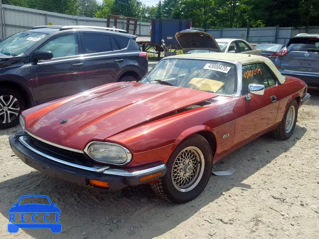 1992 JAGUAR XJS SAJNW4842NC184559 Bild 1