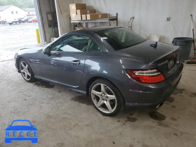 2012 MERCEDES-BENZ SLK 250 WDDPK4HA8CF037706 image 1