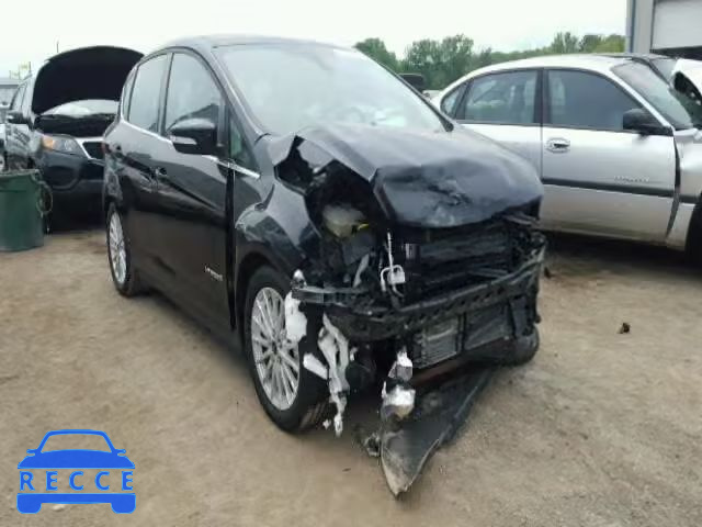 2015 FORD C-MAX SEL 1FADP5BU9FL124789 Bild 0