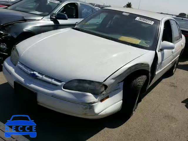 1995 CHEVROLET LUMINA LS 2G1WN52M5S1155586 зображення 1