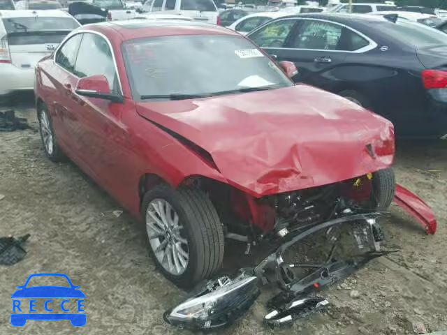 2016 BMW 228I SULEV WBA1F9C50GV544541 Bild 8