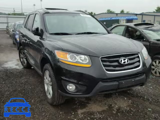 2010 HYUNDAI SANTA FE L 5NMSKDAG4AH337472 image 0