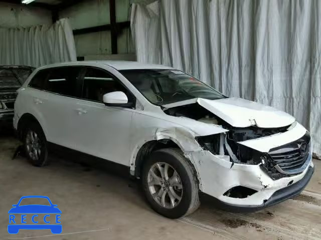 2014 MAZDA CX-9 SPORT JM3TB2BA8E0442970 Bild 0