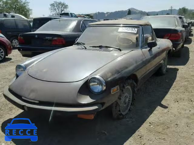 1981 ALFA ROMEO SPIDER VEL ZARBA5418B1011076 Bild 1