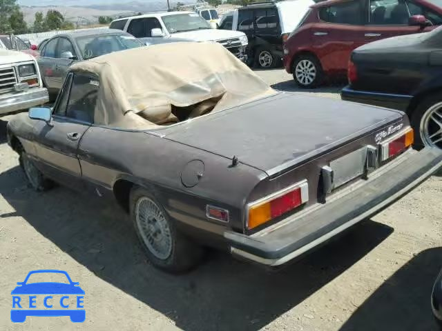 1981 ALFA ROMEO SPIDER VEL ZARBA5418B1011076 Bild 2