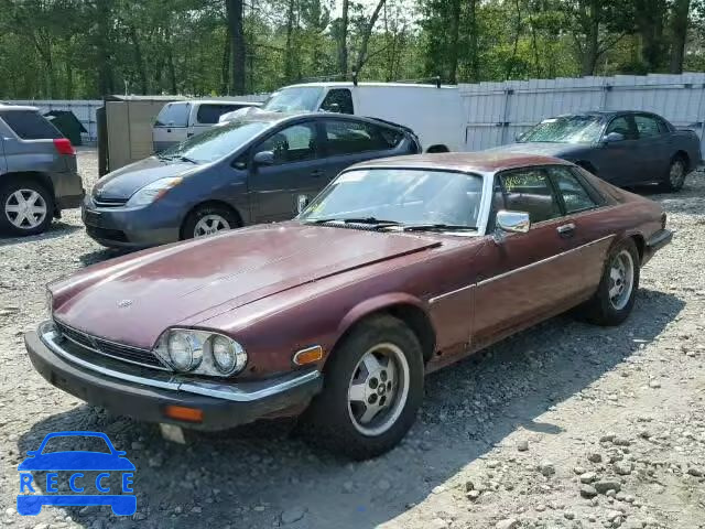 1985 JAGUAR XJS SAJNV5842FC118426 Bild 1