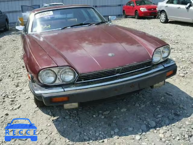 1985 JAGUAR XJS SAJNV5842FC118426 Bild 8