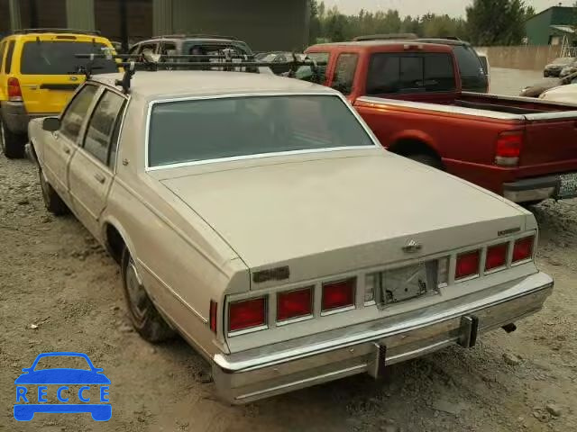 1980 CHEVROLET CAPRICE 1N69HAJ223233 image 2