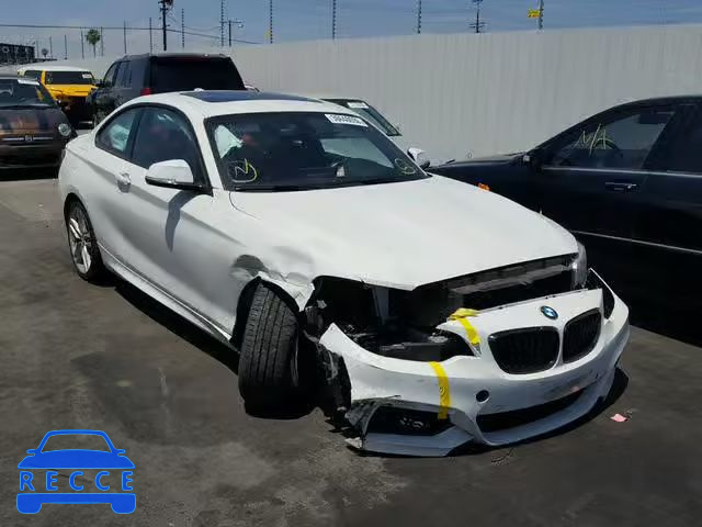 2015 BMW 228 I WBA1F9C58FV544026 image 0