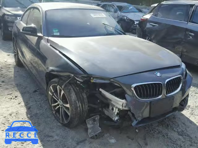 2014 BMW 228 I WBA1F5C53EV246099 зображення 8