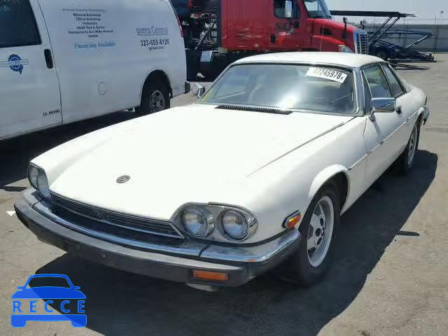 1986 JAGUAR XJS SAJNV584XGC125996 Bild 1