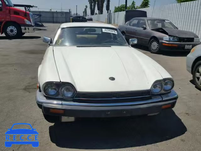 1986 JAGUAR XJS SAJNV584XGC125996 Bild 8