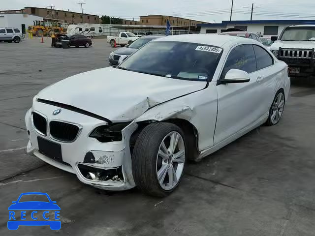 2015 BMW 228 I WBA1F5C58FV257004 Bild 1