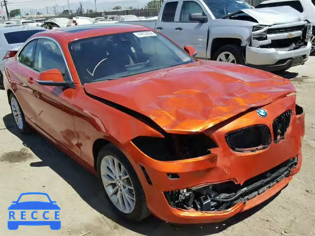 2015 BMW 228 I WBA1F9C57FV544132 image 0