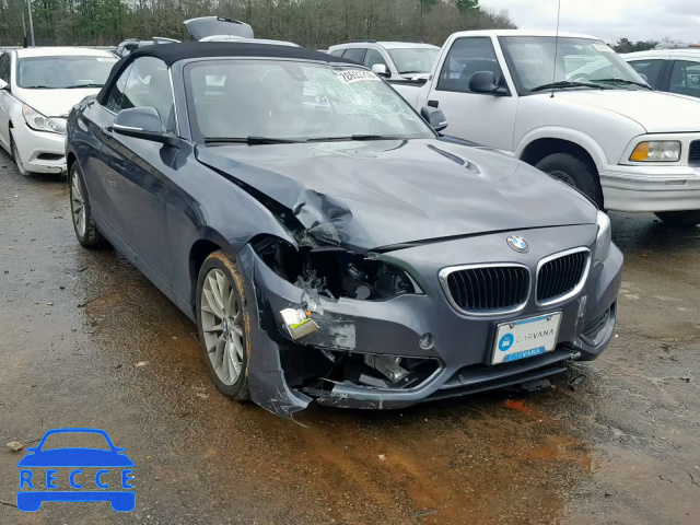 2015 BMW 228 XI WBA1K7C59FV473001 image 0