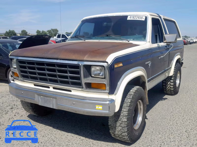 1981 FORD BRONCO U10 1FMDU15F4BLA62040 image 1