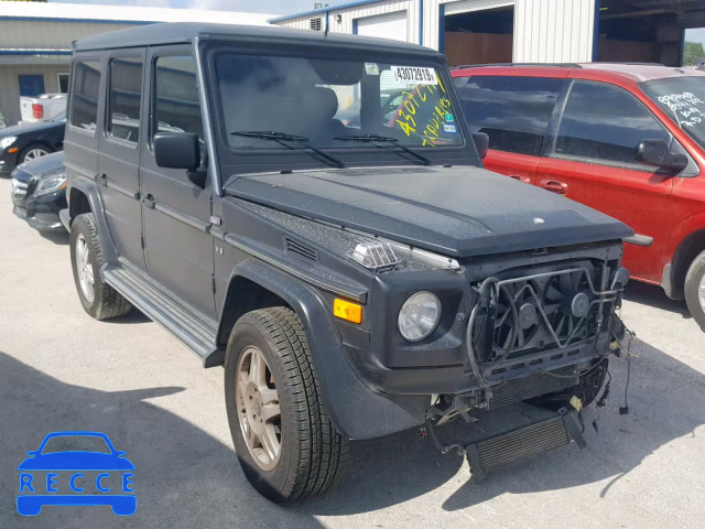 2002 MERCEDES-BENZ G 500 WDCYR49E52X128754 Bild 0