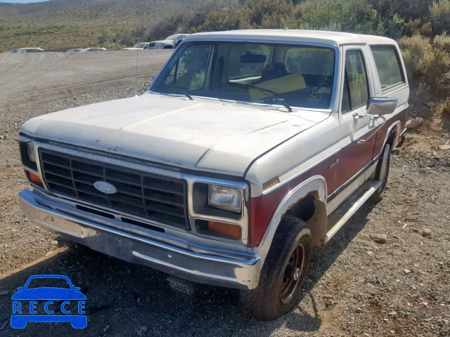 1983 FORD BRONCO U10 1FMEU15Y5DLA77445 image 1