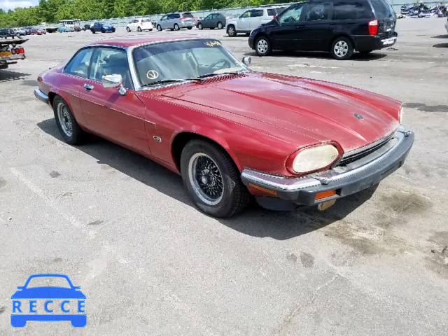 1992 JAGUAR XJS SAJNW5840NC182105 image 0