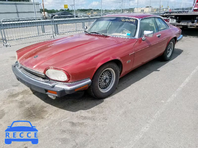 1992 JAGUAR XJS SAJNW5840NC182105 зображення 1