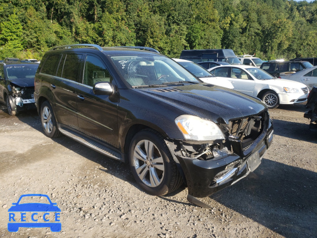 2010 MERCEDES-BENZ GL450 4JGBF7BEXAA535921 зображення 0