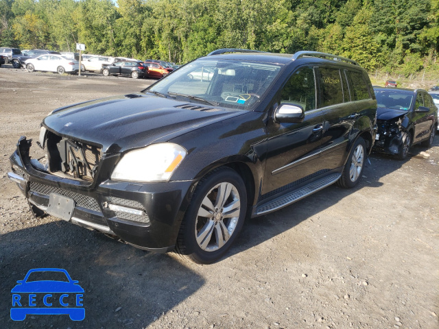 2010 MERCEDES-BENZ GL450 4JGBF7BEXAA535921 зображення 1