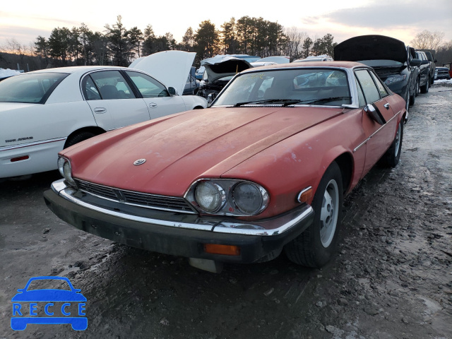 1985 JAGUAR XJS SAJNV5844FC120209 зображення 8