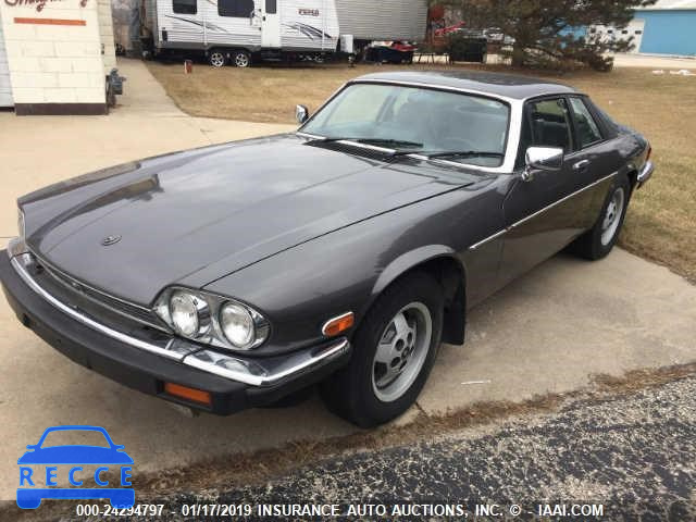 1988 JAGUAR XJS SAJNV5849JC140321 Bild 1