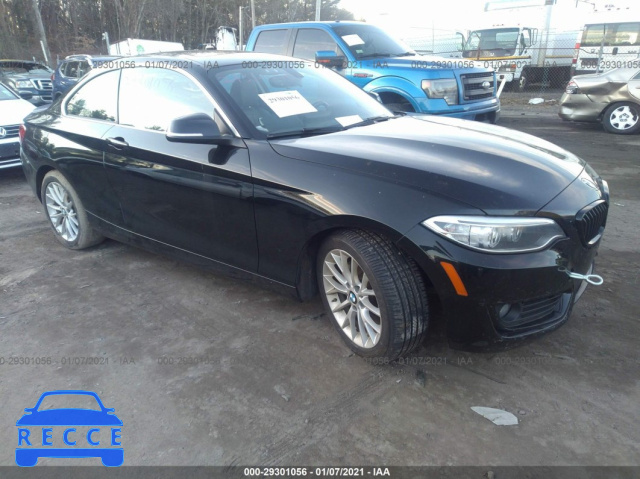 2014 BMW 2 SERIES 228I WBA1F5C50EV255391 зображення 0