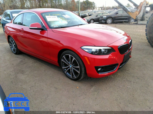 2019 BMW 2 SERIES 230I XDRIVE WBA2J3C52KVD49276 зображення 0