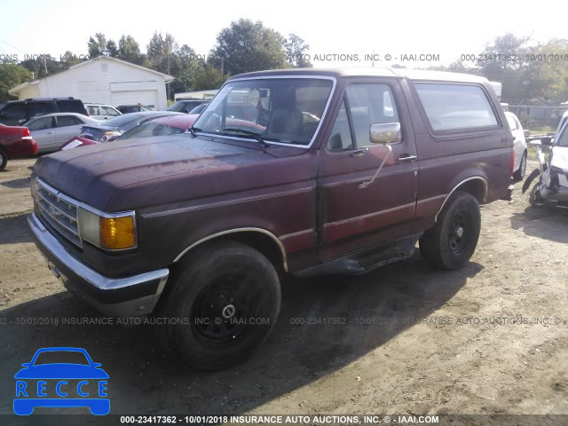 1991 FORD BRONCO U100 1FMEU15N5MLA51191 image 1