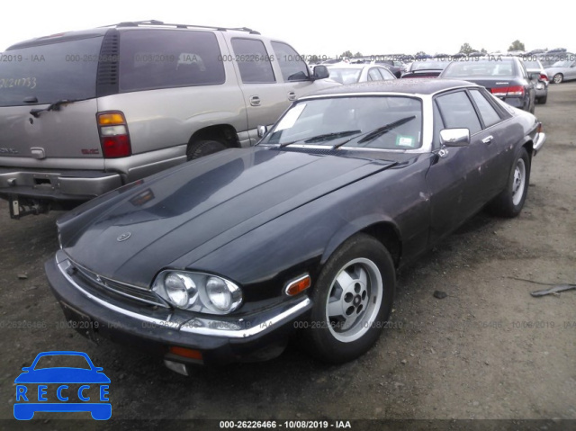 1984 JAGUAR XJS SAJNV5849EC116252 зображення 1