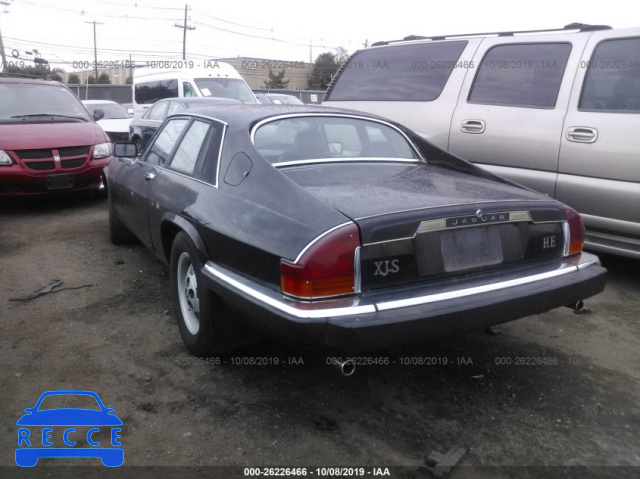 1984 JAGUAR XJS SAJNV5849EC116252 image 2