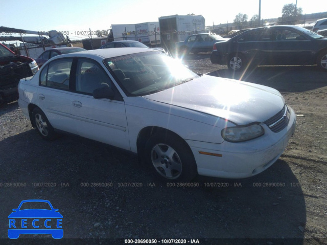 2004 CHEVROLET CLASSIC 1G1ND52F14M616662 image 0