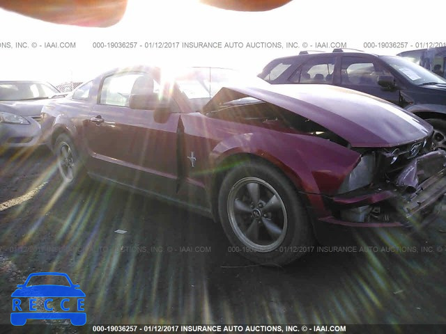 2006 Ford Mustang 1ZVHT80N565157813 image 0