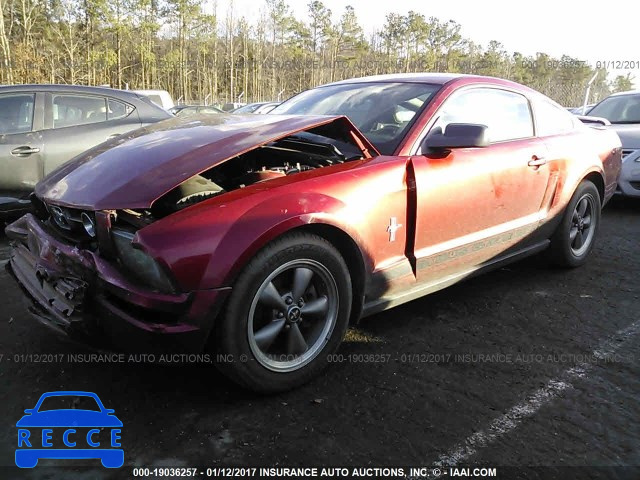 2006 Ford Mustang 1ZVHT80N565157813 image 1