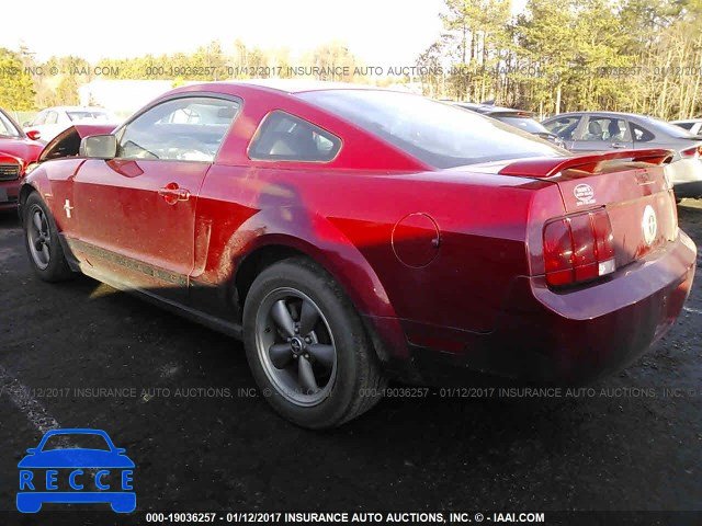 2006 Ford Mustang 1ZVHT80N565157813 image 2
