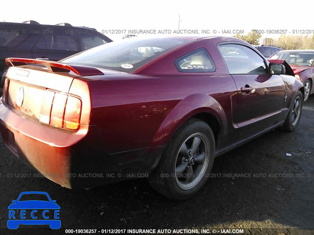 2006 Ford Mustang 1ZVHT80N565157813 image 3