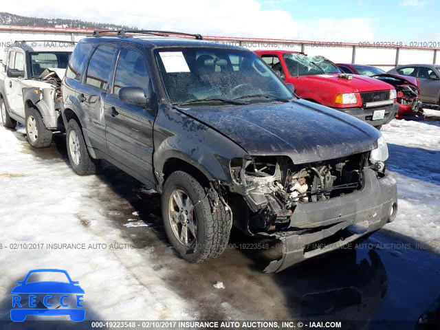 2007 Ford Escape XLT 1FMYU93107KA03121 image 0