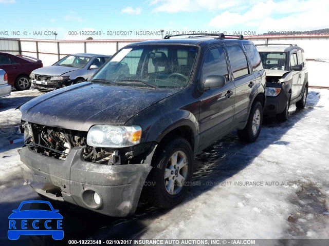 2007 Ford Escape XLT 1FMYU93107KA03121 image 1