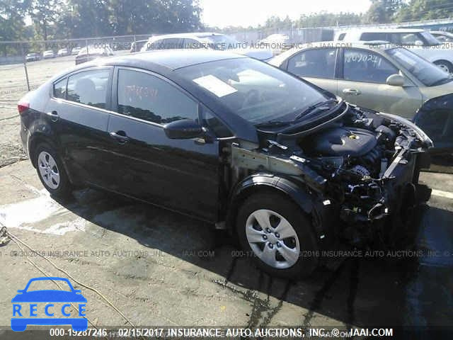 2014 KIA Forte KNAFK4A65E5245060 image 0