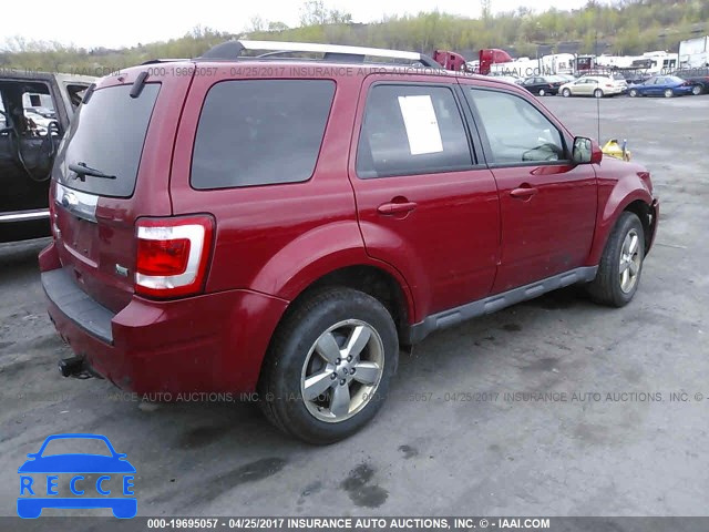 2010 Ford Escape 1FMCU9EG6AKC60948 image 3