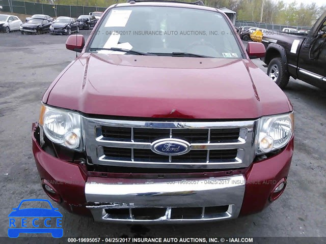 2010 Ford Escape 1FMCU9EG6AKC60948 image 5