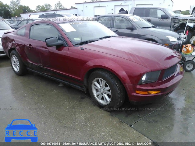 2008 Ford Mustang 1ZVHT80N385115112 image 0