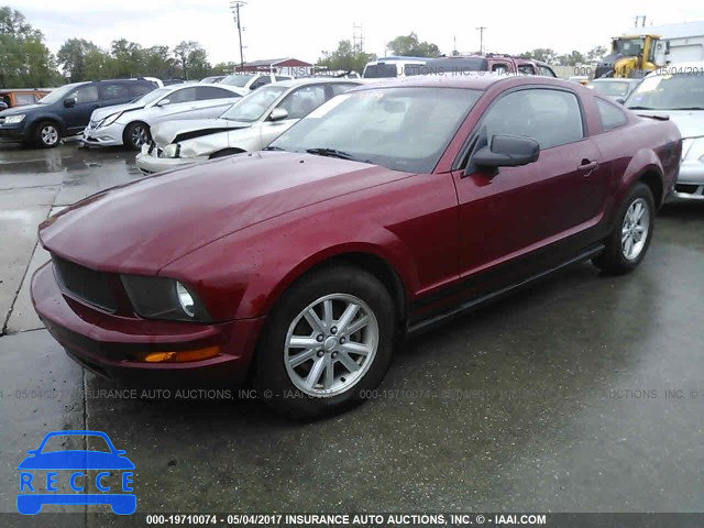2008 Ford Mustang 1ZVHT80N385115112 image 1