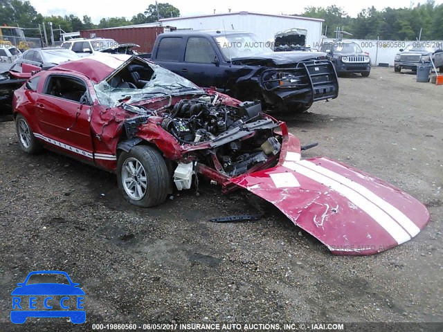 2006 Ford Mustang 1ZVFT80N965189235 image 0