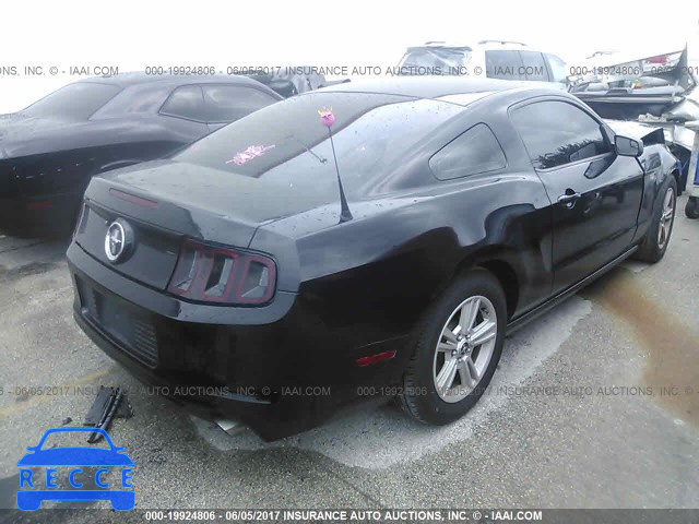 2014 Ford Mustang 1ZVBP8AM5E5249258 image 3