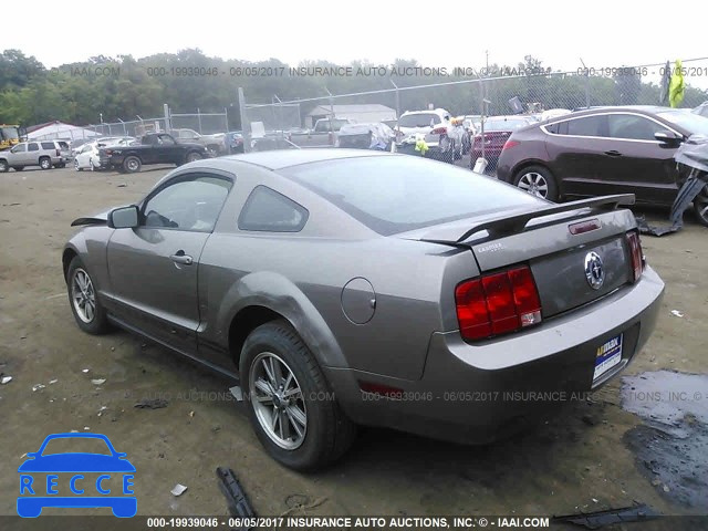 2005 Ford Mustang 1ZVFT80N355253896 image 2