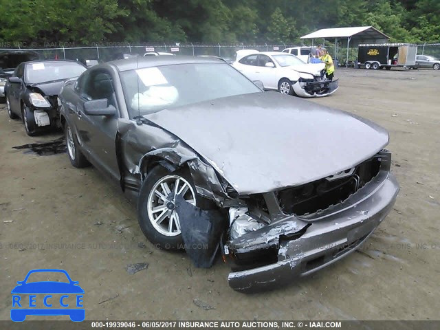 2005 Ford Mustang 1ZVFT80N355253896 image 5