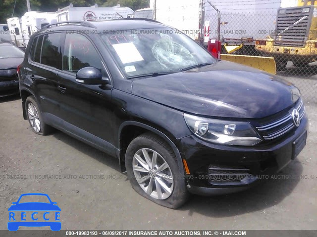 2015 Volkswagen Tiguan S/SE/SEL/R-LINE WVGBV7AX2FW522872 зображення 0